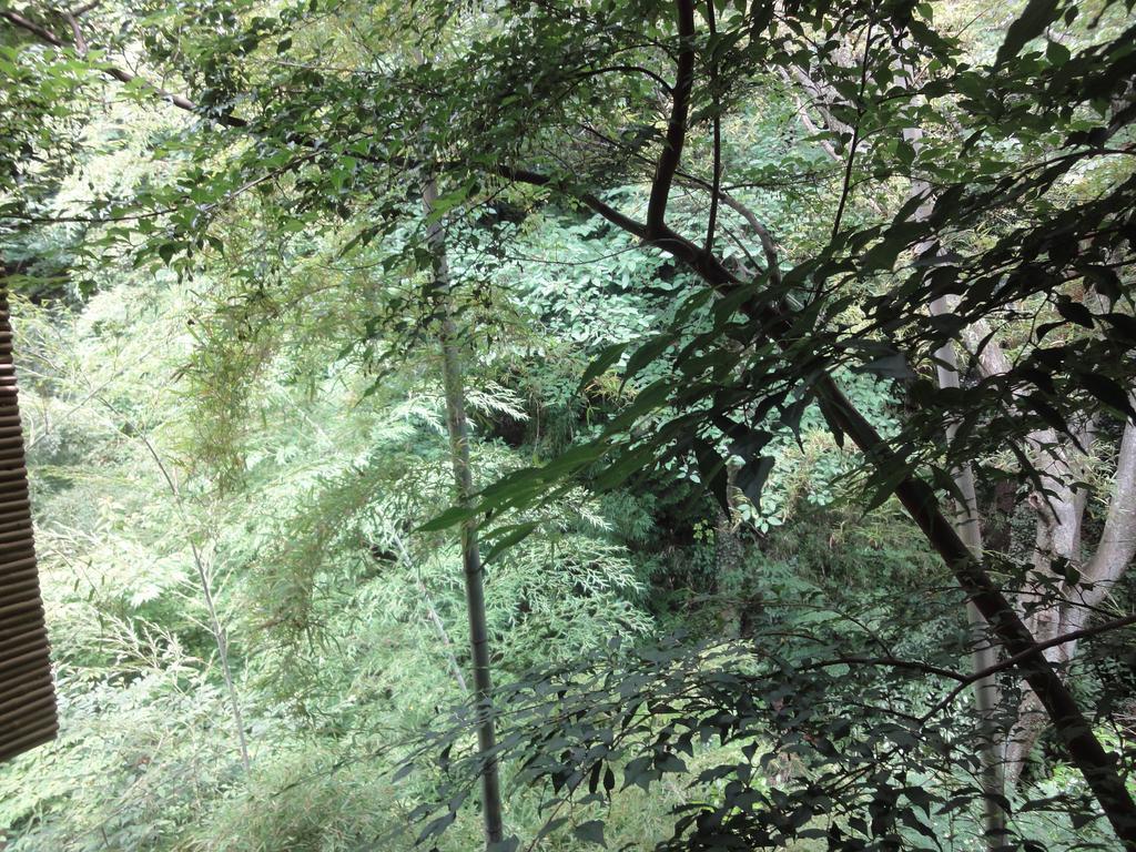 Ryokan Kiritani Hakoneso Zewnętrze zdjęcie